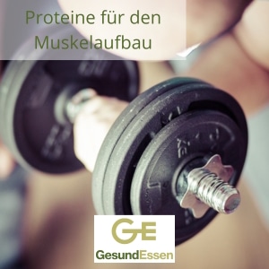 Proteine für den Muskelaufbau