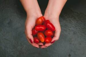 Essen mit T: Tomaten